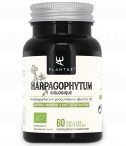 Organic harpagophytum 