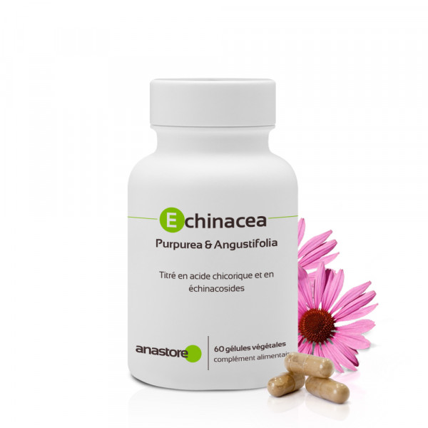 Echinacea Purpurea & Angustifolia