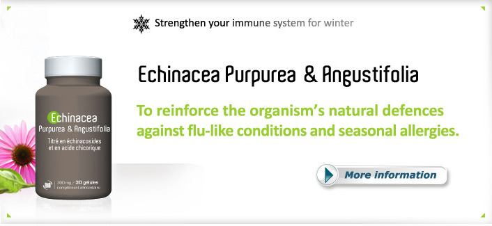 Echinacea Purpurea & Angustifolia