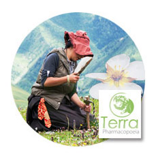 Promoting Tibetan medicinal plants - Read the information sheet