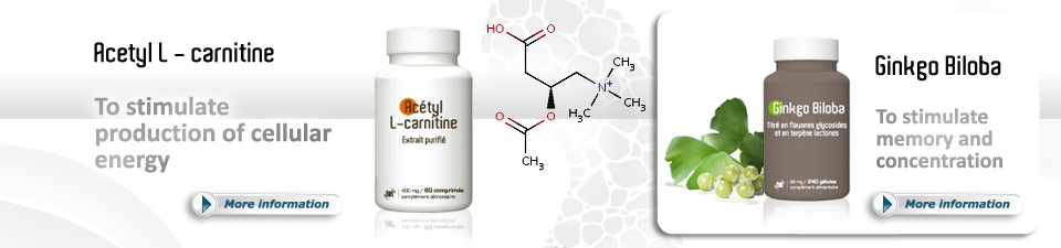 Acetyl L - carnitine - Ginkgo Biloba