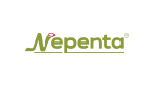 NEPENTA