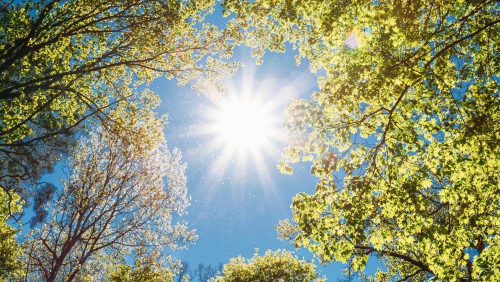Sunlight promotes vitamin D production