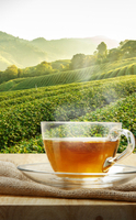 Tea, a source of antioxidant properties
