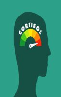 How to Naturally Regulate Cortisol: Habits, adaptogenic plants and supplements