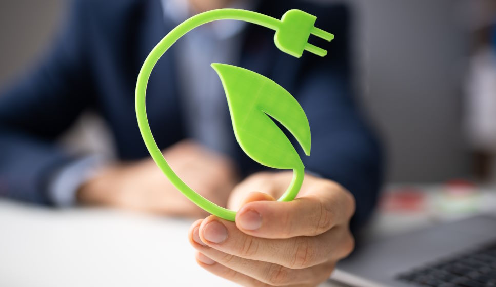 5 supplements to boost your energy without coffee | Natural alternatives