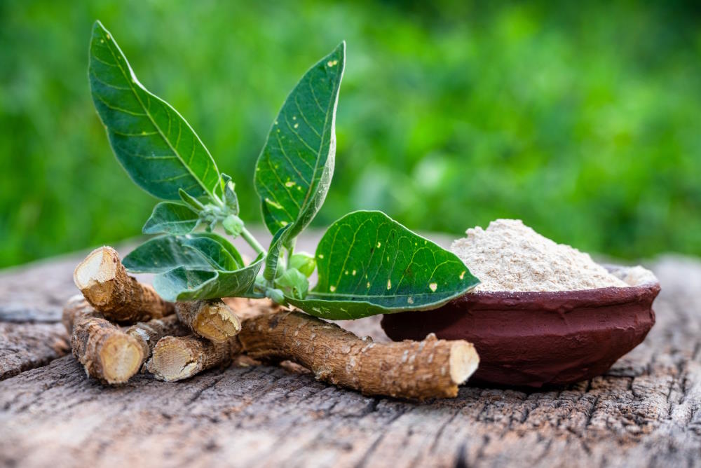 How ashwagandha could be beneficial for skin health