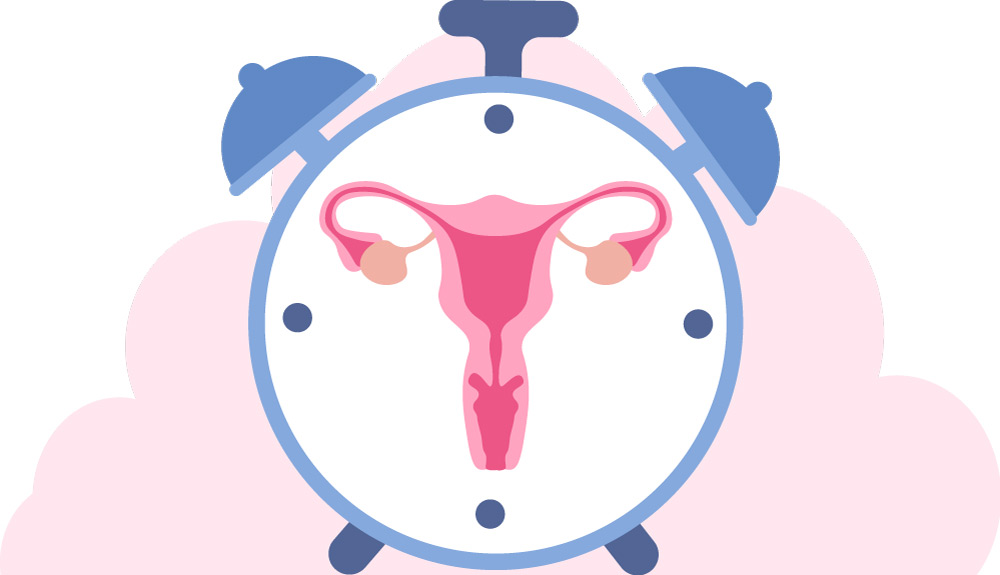 Hops and Black Cohosh: well-being and rest during menopause