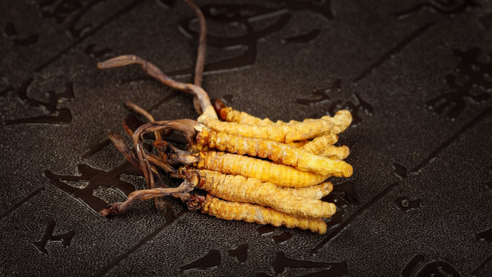 Cordyceps: origin, science and supplementation