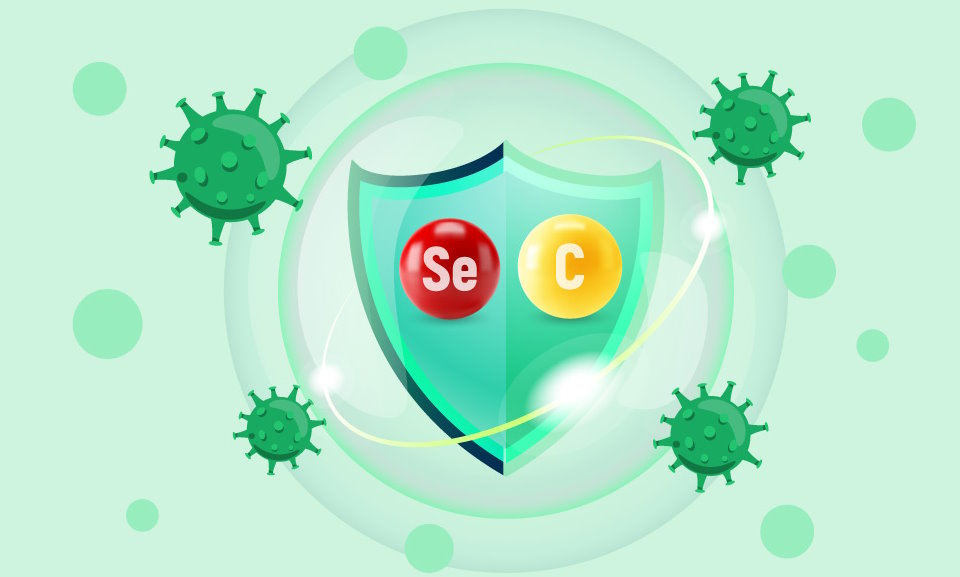 Vitamin C and Selenium: your immune and cellular shield