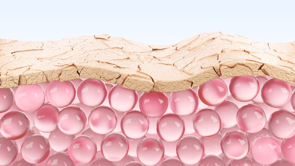 Exposome and skin: how to combat dull skin from within