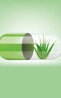 Aloe vera capsules: convenience to support your digestion