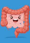 Intestinal transit: beyond fibre