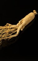 White ginseng powder: how to take it and with which foods