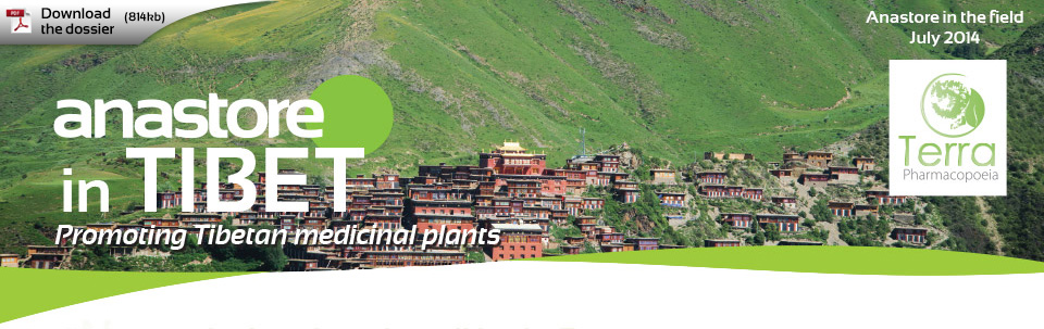 Anastore in Tibet - Promoting Tibetan medicinal plants