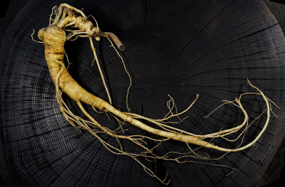 Red ginseng root. To boost energy