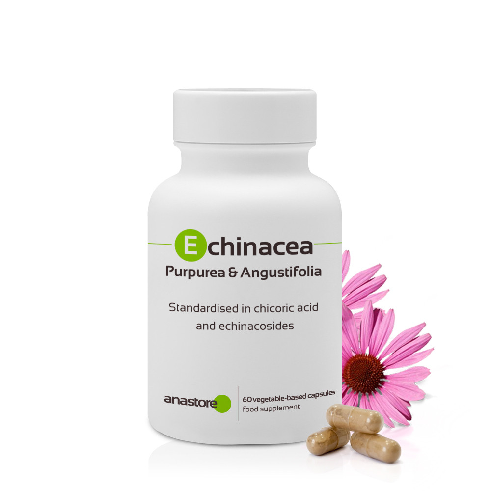 Echinacea Purpurea & Angustifolia