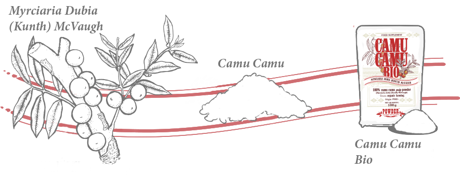 CAMU-CAMU