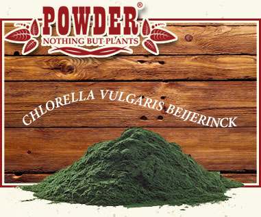 POWDER - Chlorella