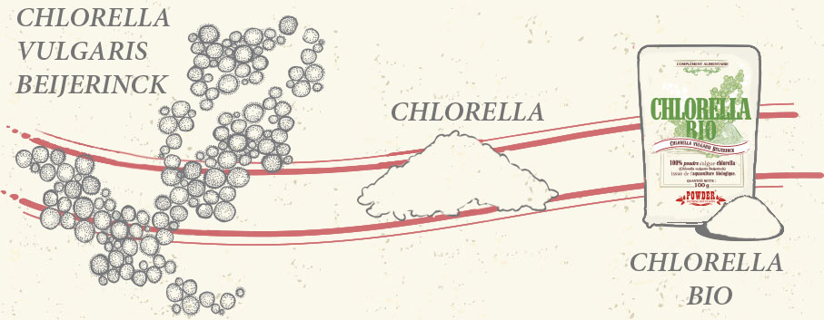 Chlorella