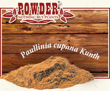 POWDER - ORGANIC GUARANA POWDER