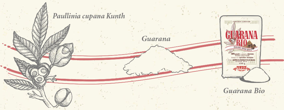 ORGANIC GUARANA POWDER - ORGANIC GUARANA POWDER POWDER