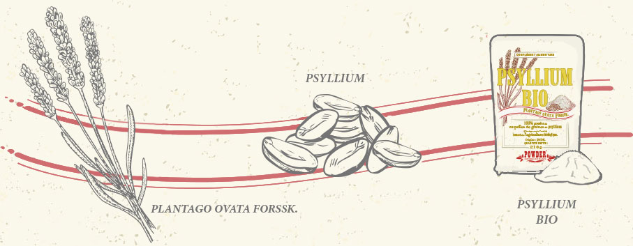 ORGANIC PSYLLIUM POWDER