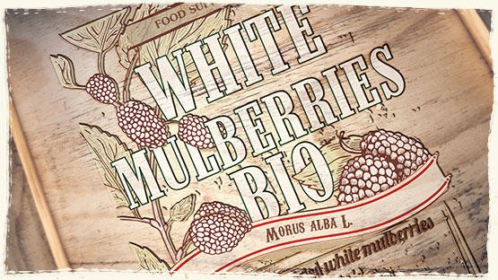 ORGANIC WHITE MULBERRIES POWDER