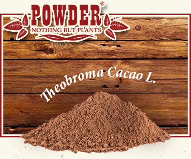 POWDER - ORGANIC RAW CACAO POWDER