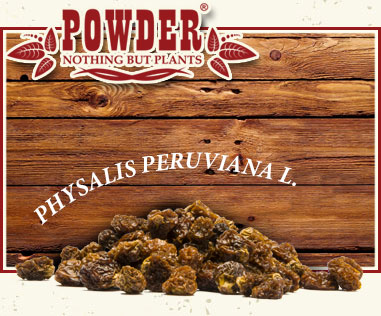 POWDER - ORGANIC INCA BERRIES