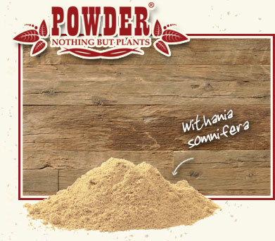 POWDER - ORGANIC ASHWAGANDHA