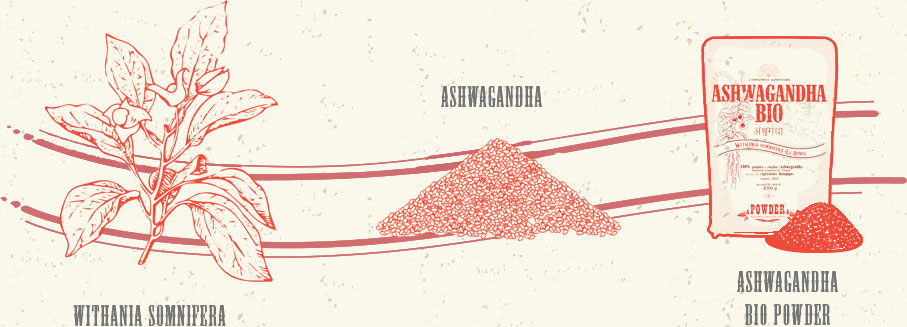 Withania somnifera - ASHWAGANDHA - ORGANIC ASHWAGANDHA POWDER