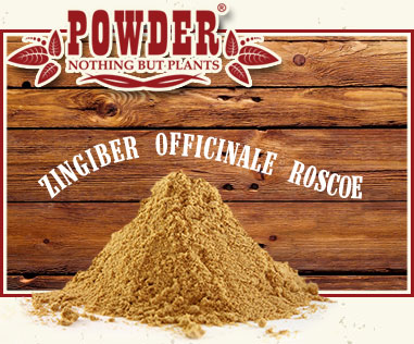 POWDER - GINGER RHIZOME