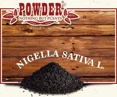 POWDER - BLACK CUMIN