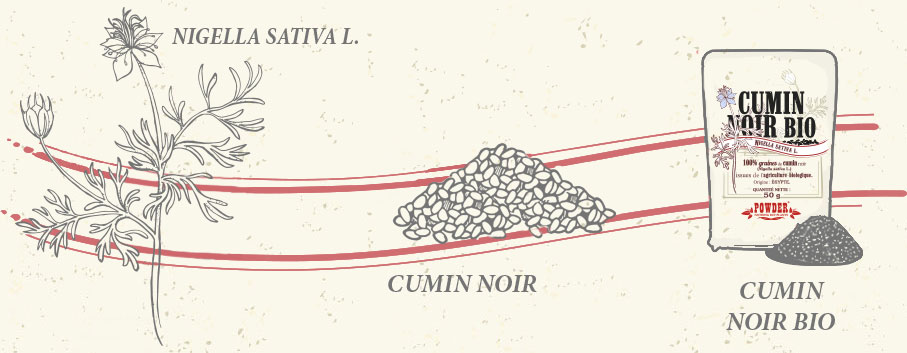 BLACK CUMIN