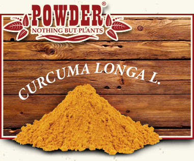 POWDER - TURMERIC