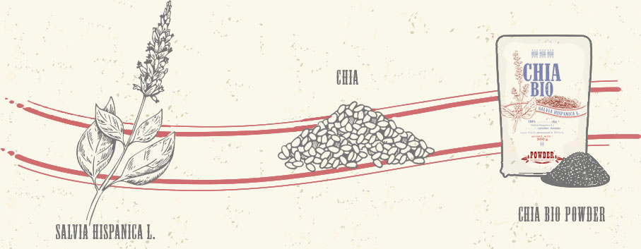 Salvia hispanica - CHIA - CHIA BIO POWDER