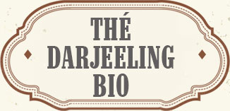 ORGANIC DARJEELING BLACK TEA