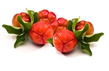 Organic Acerola