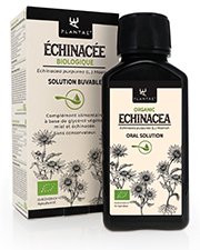 Echinacea