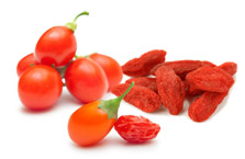 Goji (<em>Lycium barbarum</em>)
