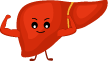 Liver