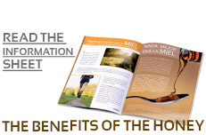 MELICINAL Honey and Plant Syrup