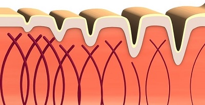 Hydrates &ndash; Protects &ndash; Regenerates