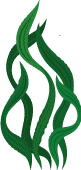 Cultivation