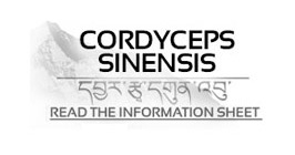 Cordyceps (CordycepsPrime™)