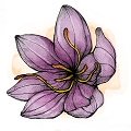 Saffron