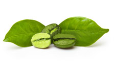 Green coffee + Green tea