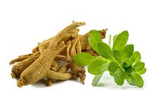 American ginseng + Bacopa monnieri