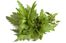 Hop extract + Black cohosh